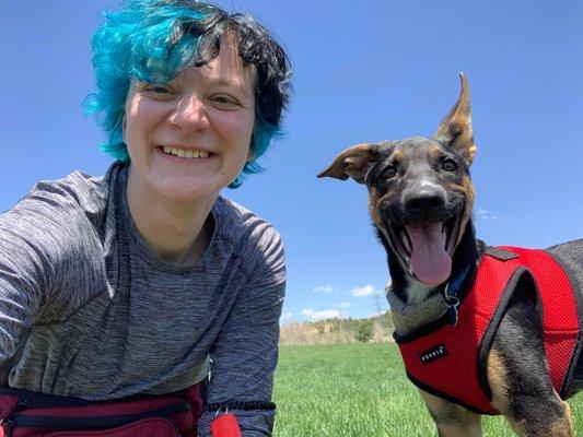 Rogue Canine Training