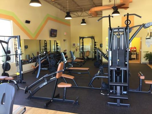 Jungle Gym and Plate loaded Equipment