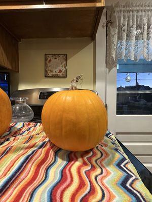 Berryland Strawberries