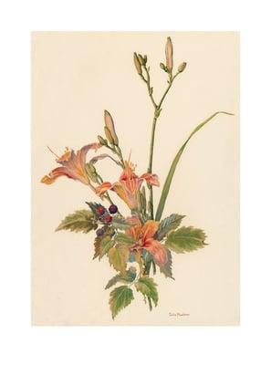 Sallie Middleton Art