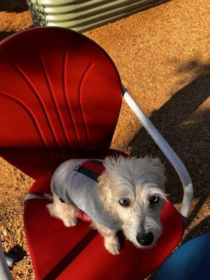 Webberville District