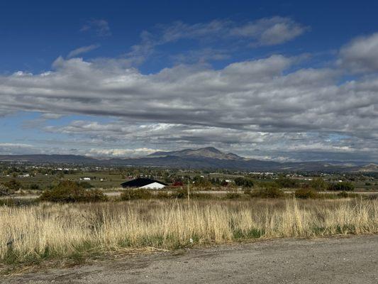 Tyler's Rocky Point Orchard