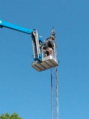 ABT Tree Specialist's