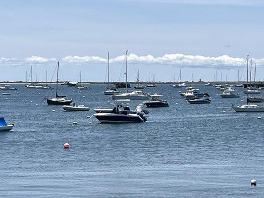 Provincetown Marina