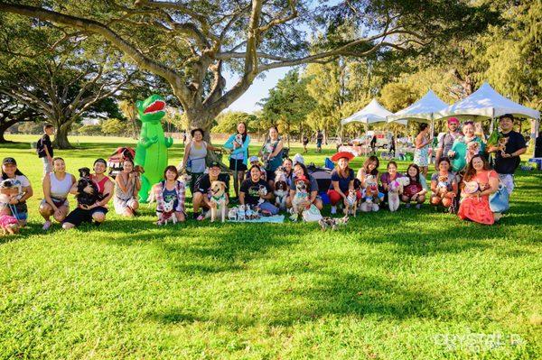 Hawaiian Humane Society Petwalk
