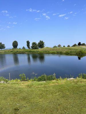 2nd hole. View from the green back to the tee box