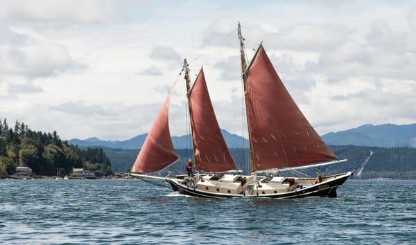 Sailing Charters at Alderbrook Resort & Spa