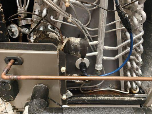 Mold Reduction System Repair