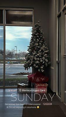 Christmas tree in lobby.