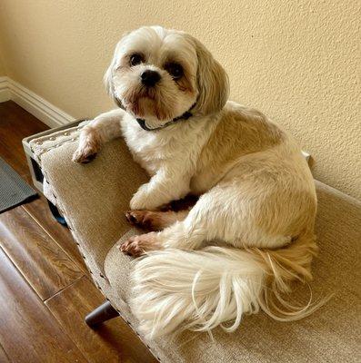 Family Mason Animal Clinic