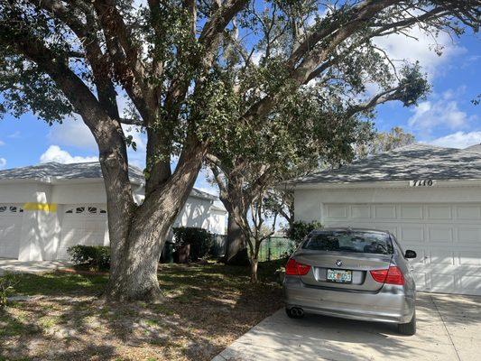 North River Tree Service