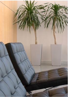 San Jose Interior Plant Maintenance