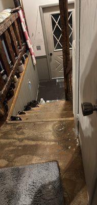 Montana Dunkleberger