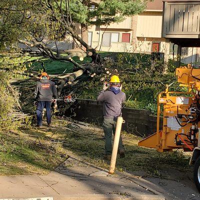 Wd Giampa Lawns & Landscape