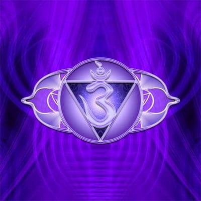 Pure Path Products and Services