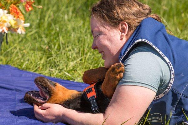 Pupgrade Dog Training