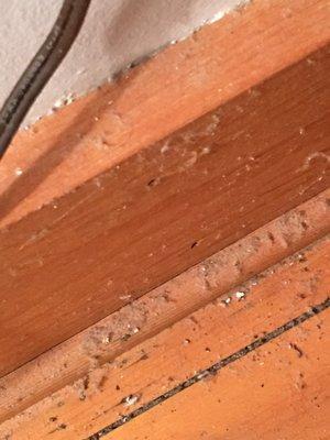 Chesapeake Inn of Lenox