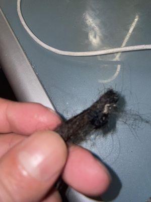 Damaged scalp, 6 dreads feel off in less then 2 weeks. UNBELIEVABLE