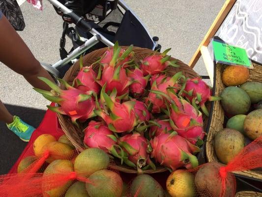 Dragon fruit