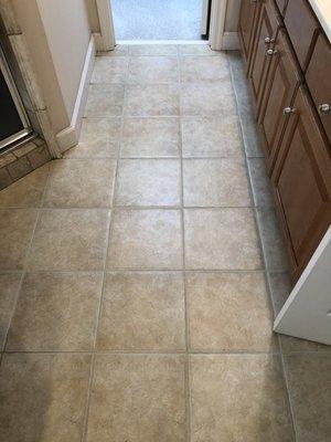 All American Carpet & Floor Cleaning