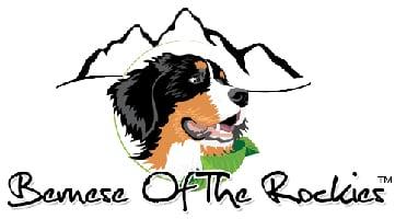 Bernese Of The Rockies