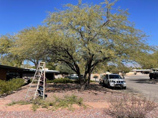 Sunrise Landscape & Tree Service