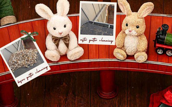 Before & After Gutter Cleaning