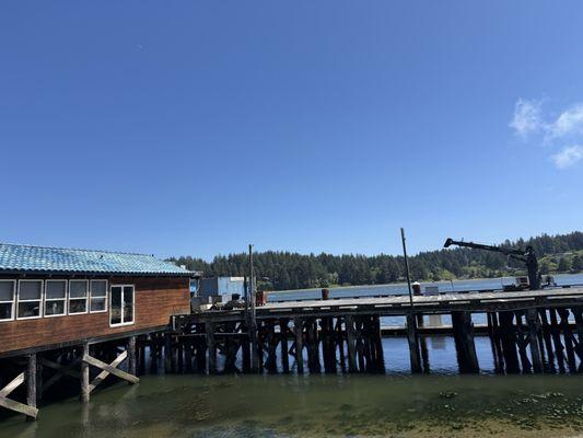 Toni's Canine Castle