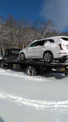 Whitney Towing