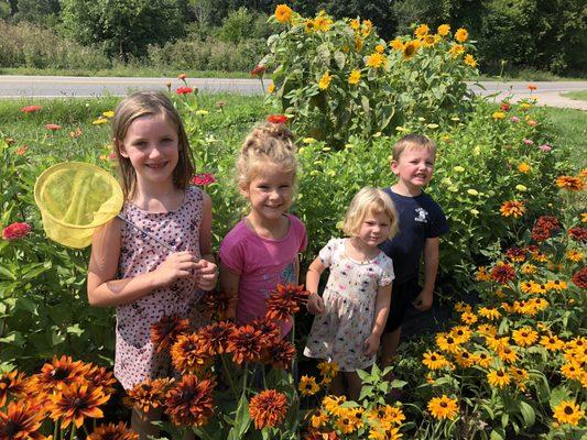 Rain Dance Organic Farm LLC