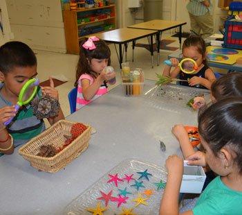 Beginning Montessori Academy