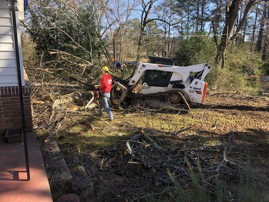 Kevin's Tree Service