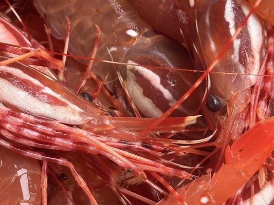 Fishermen’s Market