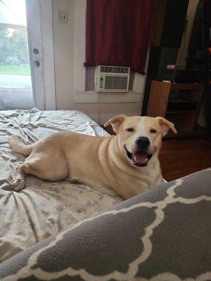 Mudd my precious boy.