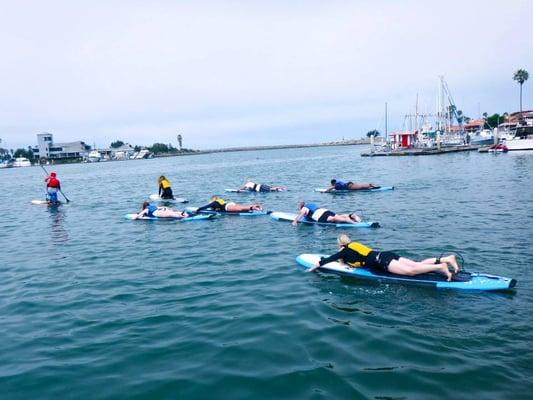 Paddle board trip ODR took to Ventura