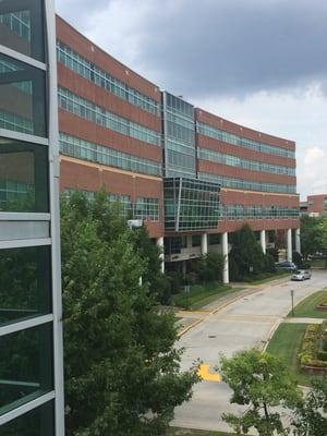 University Hospital