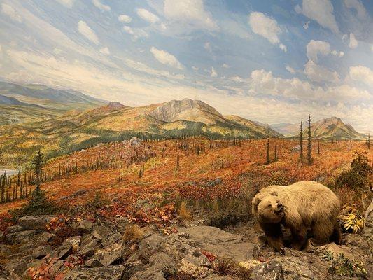 Morris Thompson Cultural & Visitors Center