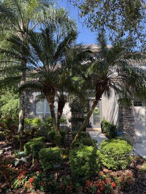 Charles Coogle Tree Service