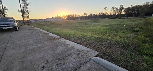 Mike's professional Lawn Care