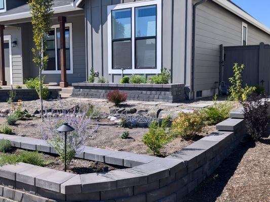 Front yard remodel. Raised flower beds, dry creek bed.
