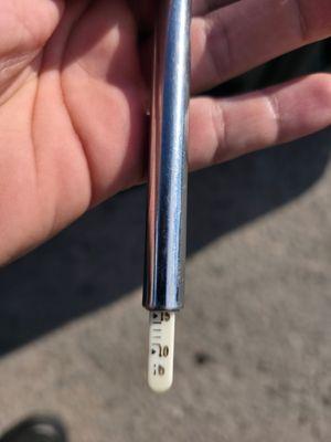 Paya's North Auto Sales