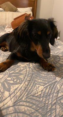 Marble Veterinary Hospital