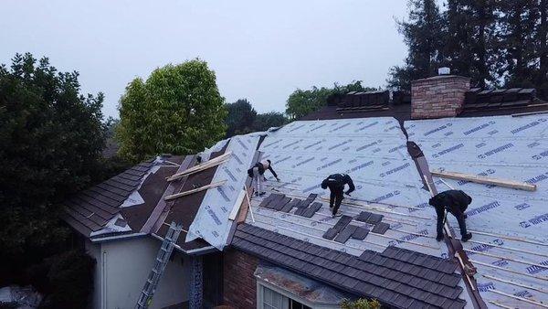 My Roof Roofing Contractor