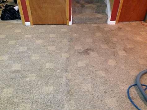 Goodfellas Carpet Clean