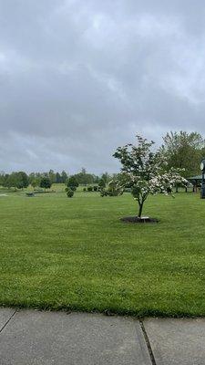 Marion F Clawson Memorial Park