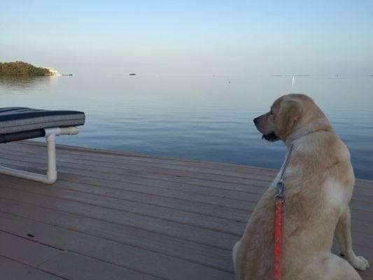 Sunset Hammock Condominium Association