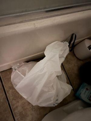 URINE AND PISS AND FLIES