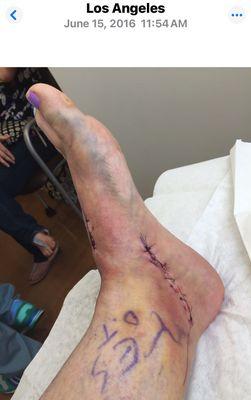 Look at that arch! It's beautiful! Thank you Dr T!!