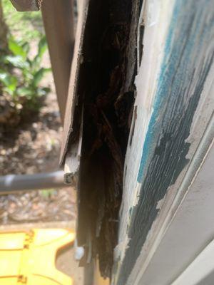 Goldelm at Charter Pointe