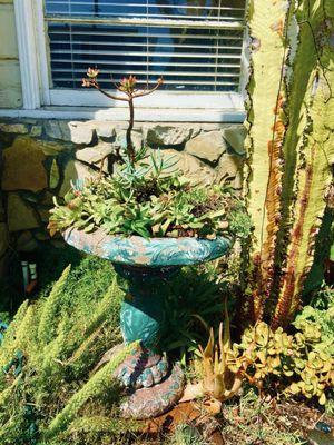 Team Thompson Property Management